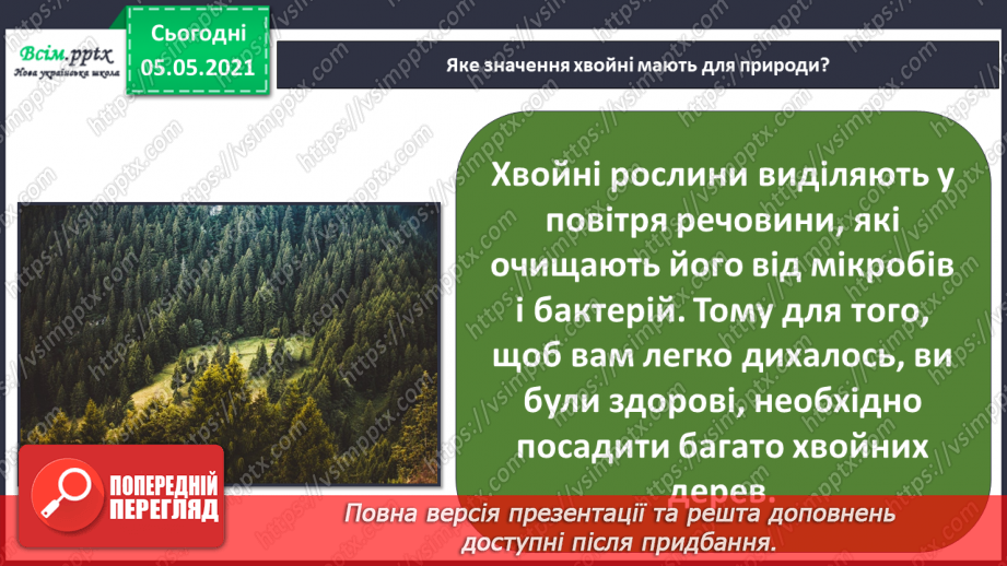 №035 - Хвойні рослини.24 №035 - Хвойні рослини.24