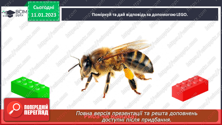 №0056 - Риби17 №0056 - Риби17