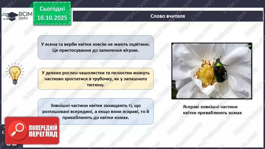 №024 - Покритонасінні рослини: квітка та плід. Значення в екосистемах.12 №024 - Покритонасінні рослини: квітка та плід. Значення в екосистемах.12