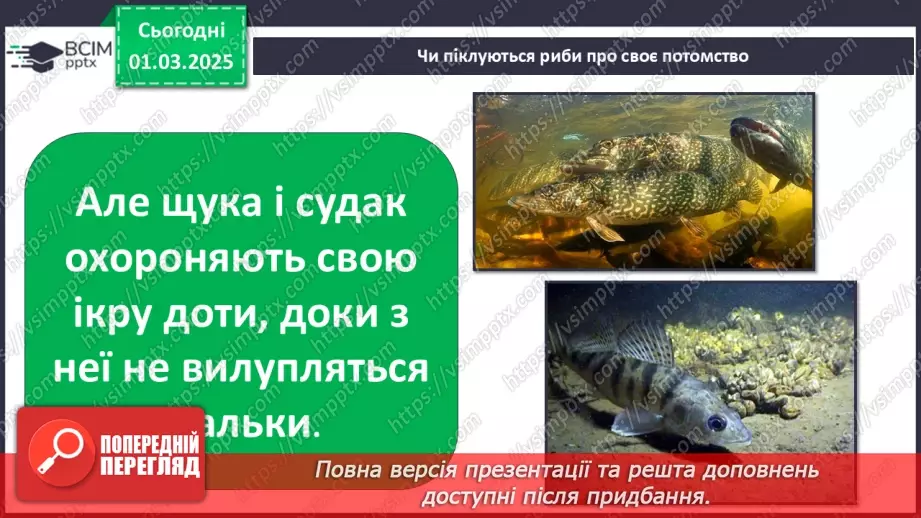 №0073 - Як змінюється життя у водоймах навесні14 №0073 - Як змінюється життя у водоймах навесні14