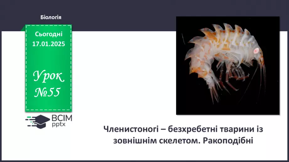 №55 - Членистоногі - безхребетні тварини із зовнішнім скелетом. Ракоподібні.0