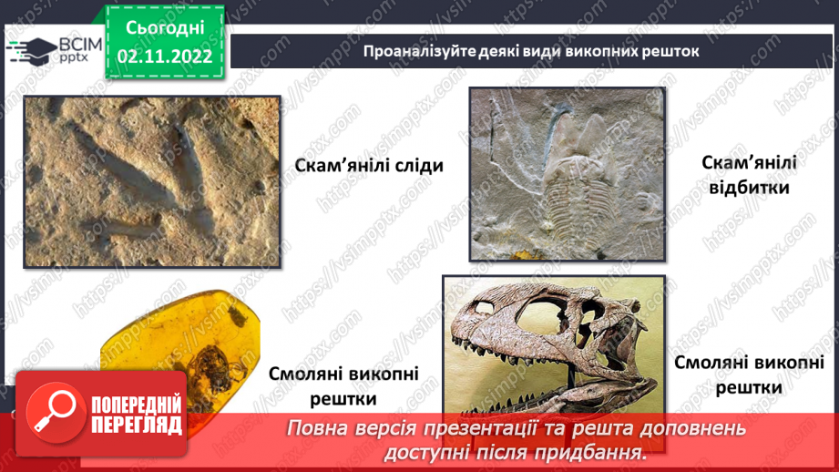 №034 - Еволюція тварин. Як досліджують минуле.18 №034 - Еволюція тварин. Як досліджують минуле.18