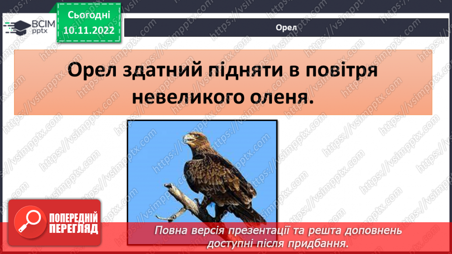 №037 - Найсильніші тварини.11