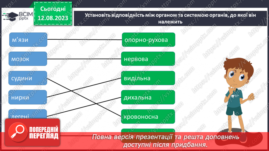 №13 - Людина як організована форма життя. Поняття про основні системи людини та їх значення.29