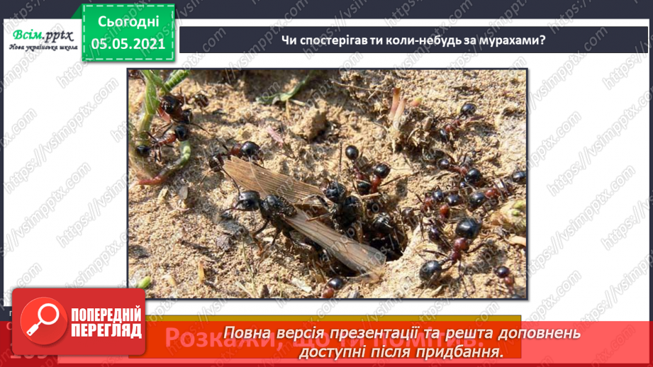 №093-94 - Тема: Задачі. Обчислення значень виразів.11 №093-94 - Тема: Задачі. Обчислення значень виразів.11