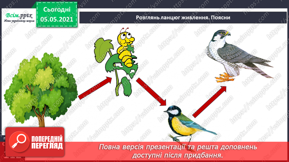 №071 - У природі все взаємопов’язане.12