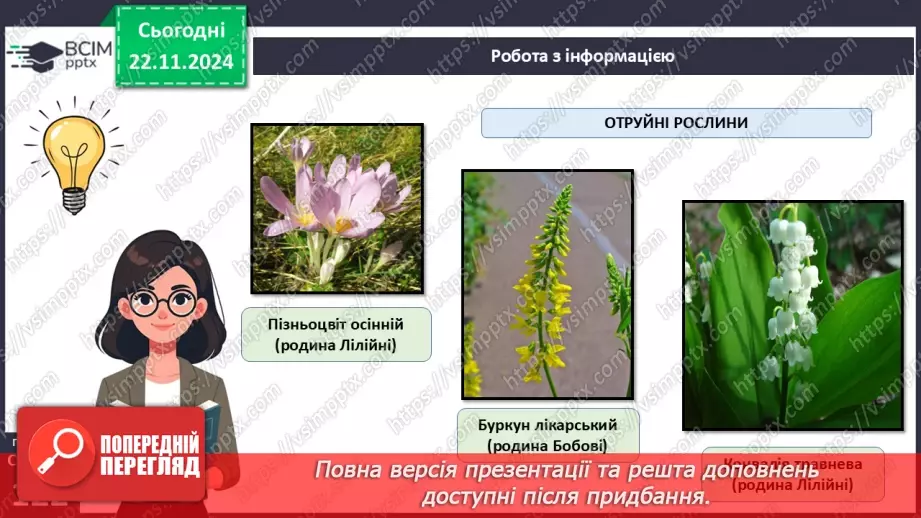 №37 - Квіткові. Різноманіття квіткових (продовження).14 №37 - Квіткові. Різноманіття квіткових (продовження).14