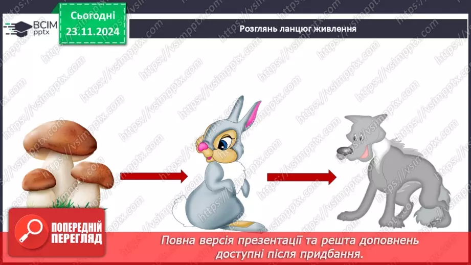 №0038 - Які невидимі ланцюги є в осінньому лісі9 №0038 - Які невидимі ланцюги є в осінньому лісі9