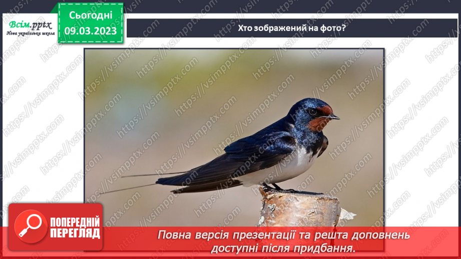 №27 - Виготовлення ластівки за зразком чи власним заду¬мом11 №27 - Виготовлення ластівки за зразком чи власним заду¬мом11
