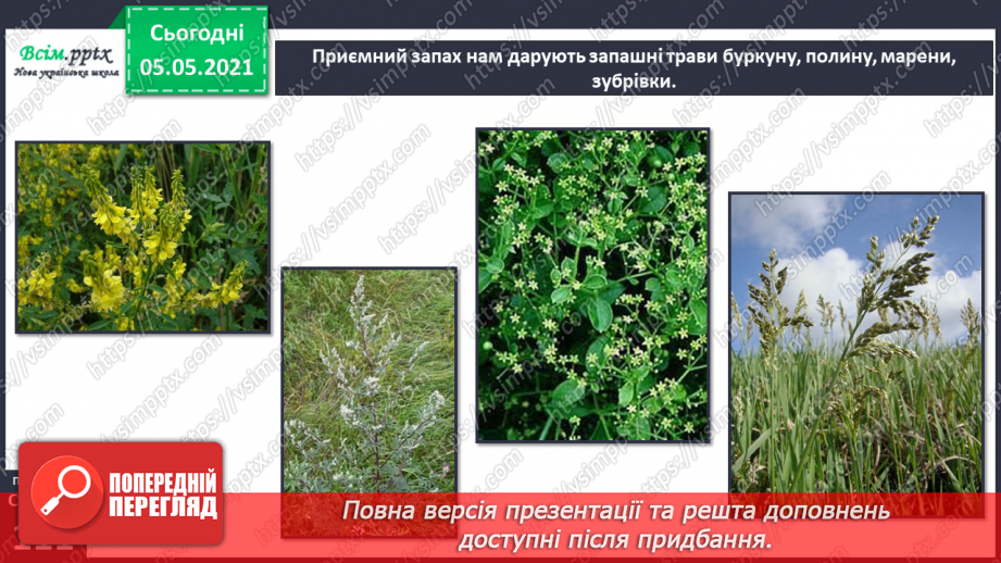 №095 - Ясніє в кожній квітці дивина.15 №095 - Ясніє в кожній квітці дивина.15