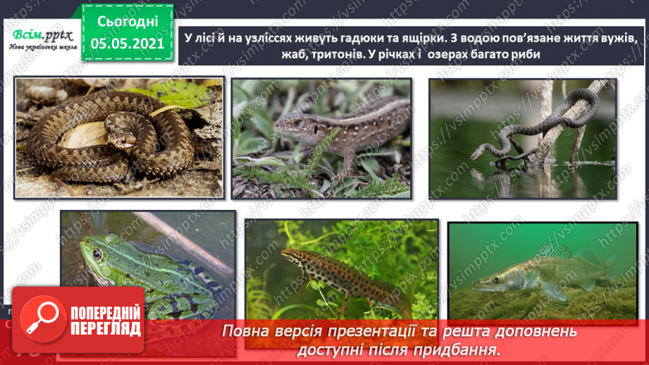 №050 - Природні угруповання. Природне угруповання — ліс.22