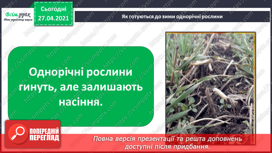 №032 - Як рослини готуються до зими17