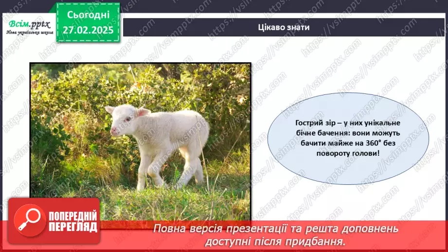 №25 - Робота з папером. Рвання і скручування паперу. Проєктна робота «Веселі вівці».15 №25 - Робота з папером. Рвання і скручування паперу. Проєктна робота «Веселі вівці».15