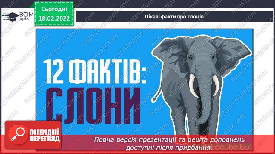 №24 - Основні поняття: анімація СМ: К. Сураджахроенджай «Ще один день в Раю», фотозображення слонів у скульптурі8