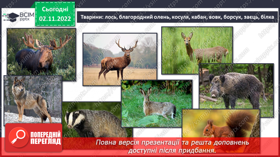 №035 - Тварини Європи.7