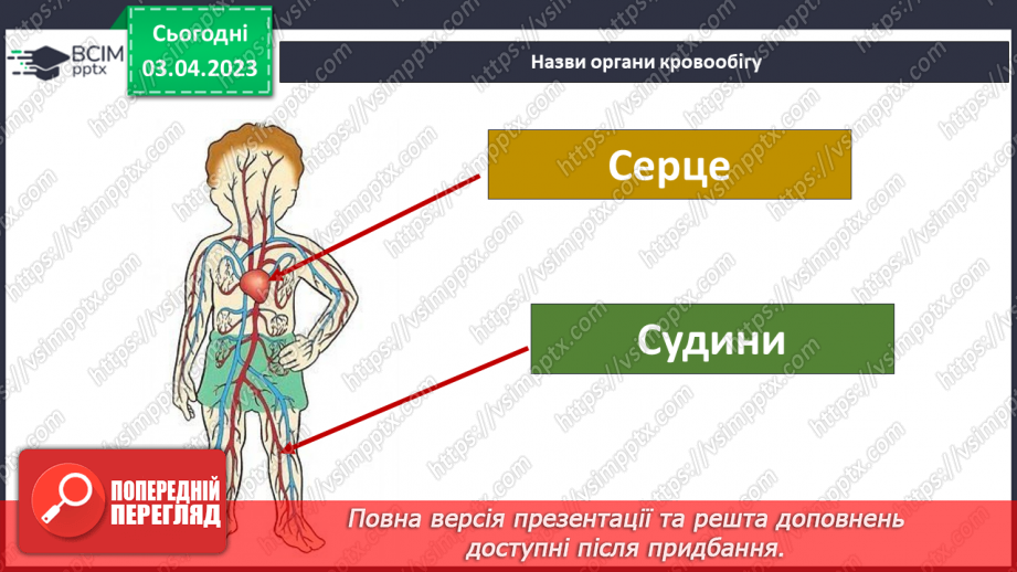 №59 - Узагальнення розділу «Пізнаємо організм людини в середовищі його існування». Самооцінювання навчальних результатів теми.15