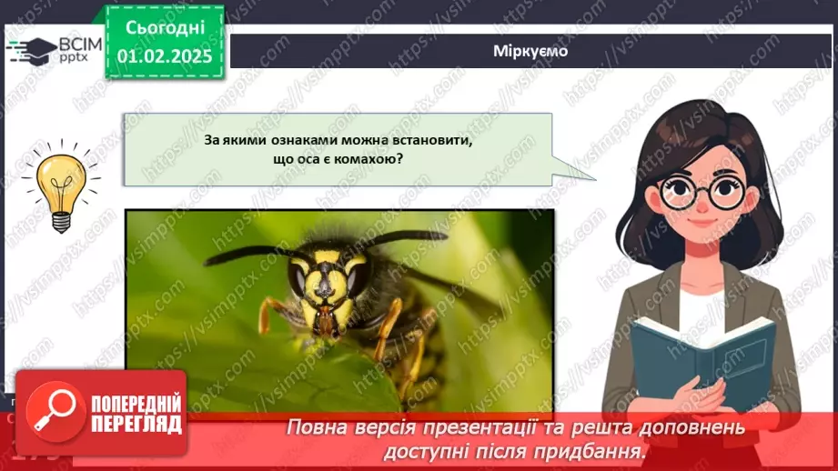 №57 - Комахи (продовження).12 №57 - Комахи (продовження).12