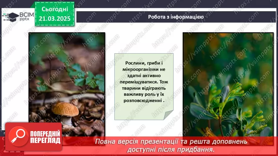 №71 - Роль тварин у біосфері.10