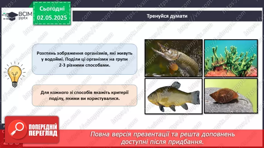 №81 - Сучасні уявлення про систему органічного світу.7 №81 - Сучасні уявлення про систему органічного світу.7