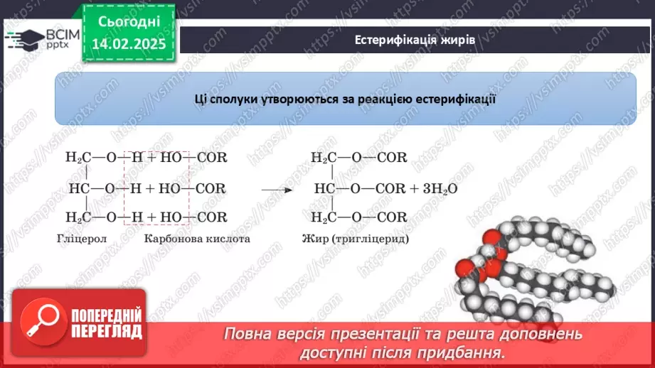 №23 - Естери. Жири19 №23 - Естери. Жири19