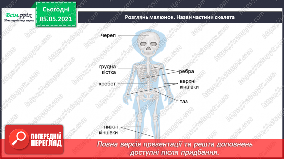№063 - Узагальнення і систематизація знань учнів. Діагностична робота. Тема: « Дбаю про своє здоров’я. Шкіра. Скелет. М’язи.»23