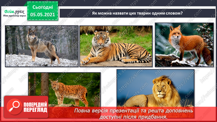 №043-44 - За Ю. Ярмишем «Білченя та метелик» .18 №043-44 - За Ю. Ярмишем «Білченя та метелик» .18