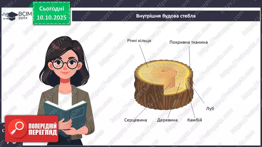 №022 - Покритонасінні рослини: будова бруньки, пагона й листка.18 №022 - Покритонасінні рослини: будова бруньки, пагона й листка.18