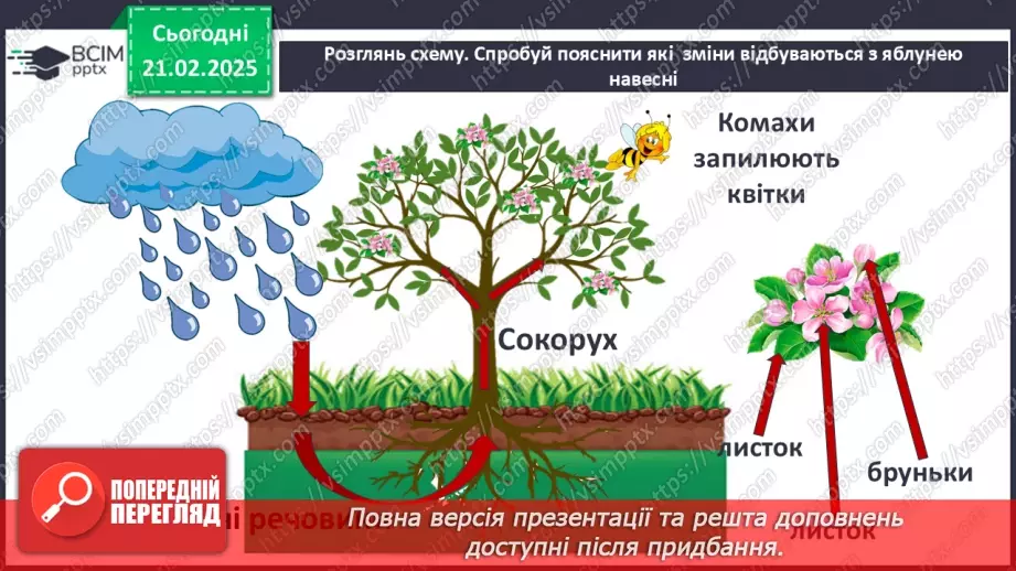 №0071 - Як почуваються рослини навесні10