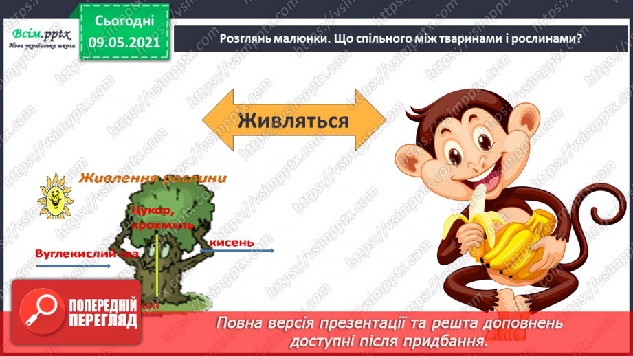 №049 - Чим особливий різноманітний світ рослин?14 №049 - Чим особливий різноманітний світ рослин?14