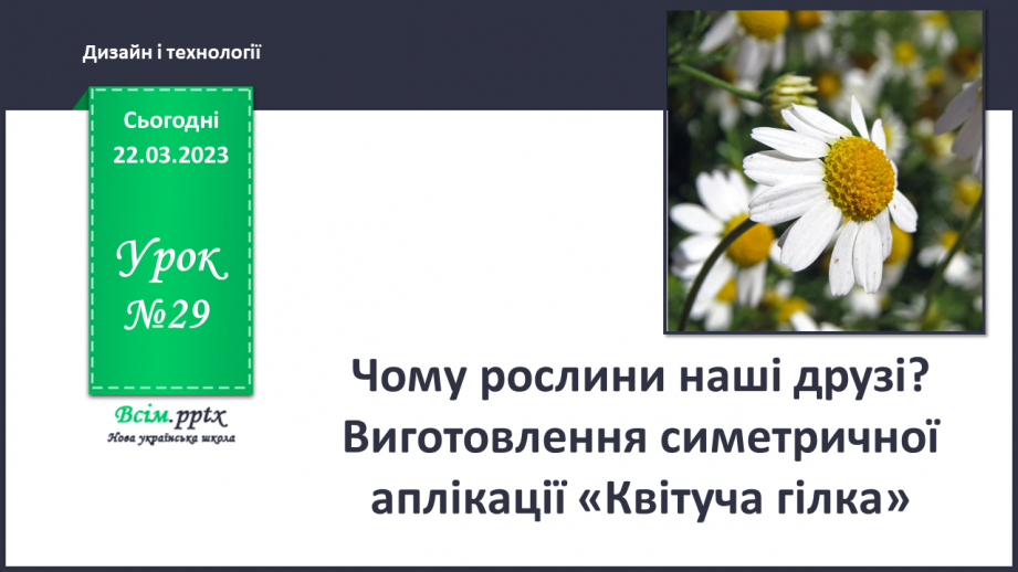 №029 - Чому рослини наші друзі? Виготов¬лення симетричної аплікації «Квітуча гілка»0