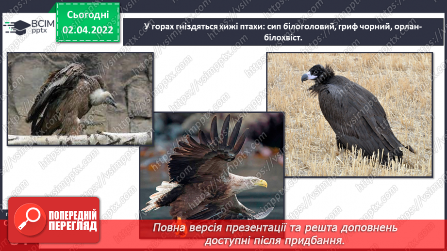 №083 - Кримські гори.17