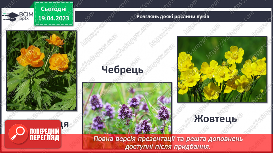 №33 - На лужку. Робота з папером. Виготовлення сюжетної аплікації за зразком.6 №33 - На лужку. Робота з папером. Виготовлення сюжетної аплікації за зразком.6