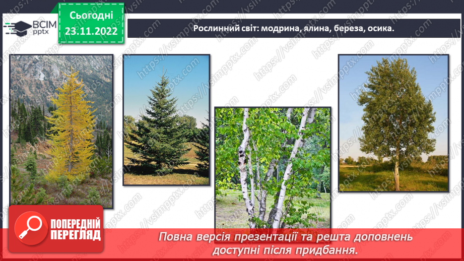 №044 - Дослідження природних зон (дощові ліси, напівпустеля, савани, тайга).22 №044 - Дослідження природних зон (дощові ліси, напівпустеля, савани, тайга).22