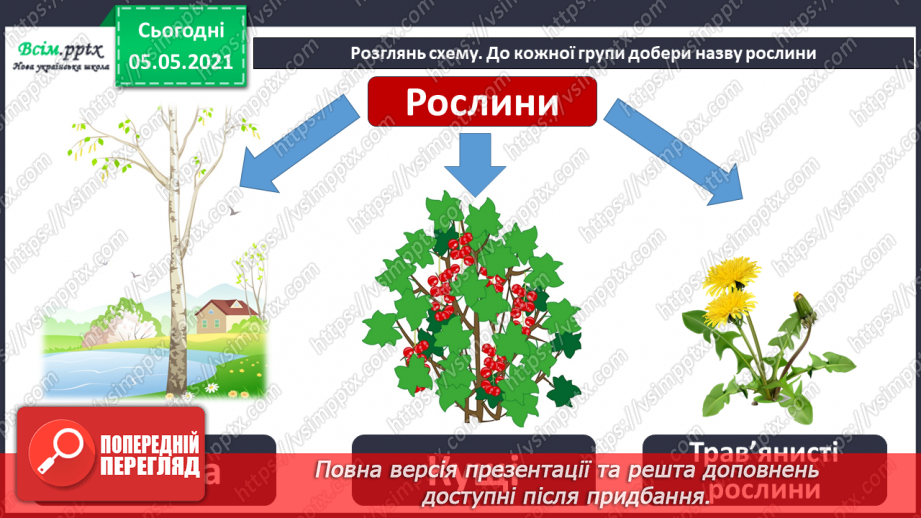 №036 - Квіткові рослини.10