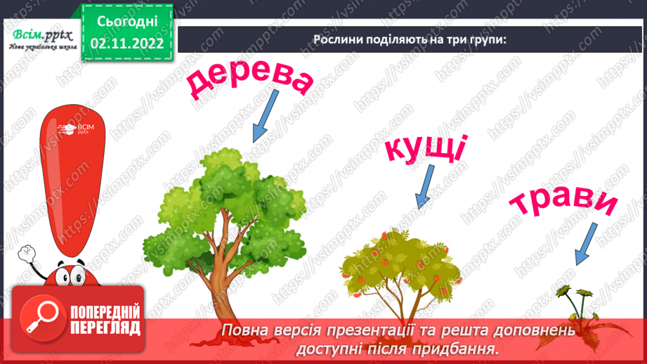 №0035 - Які бувають рослини? Де вони ростуть?8