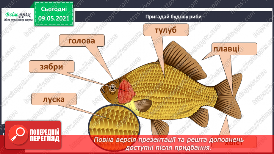 №064 - Чому земноводні мають таку назву?5 №064 - Чому земноводні мають таку назву?5