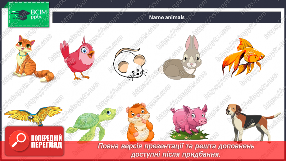 №036 - My pets. “I have got a pet”, “He/She has got a…”9