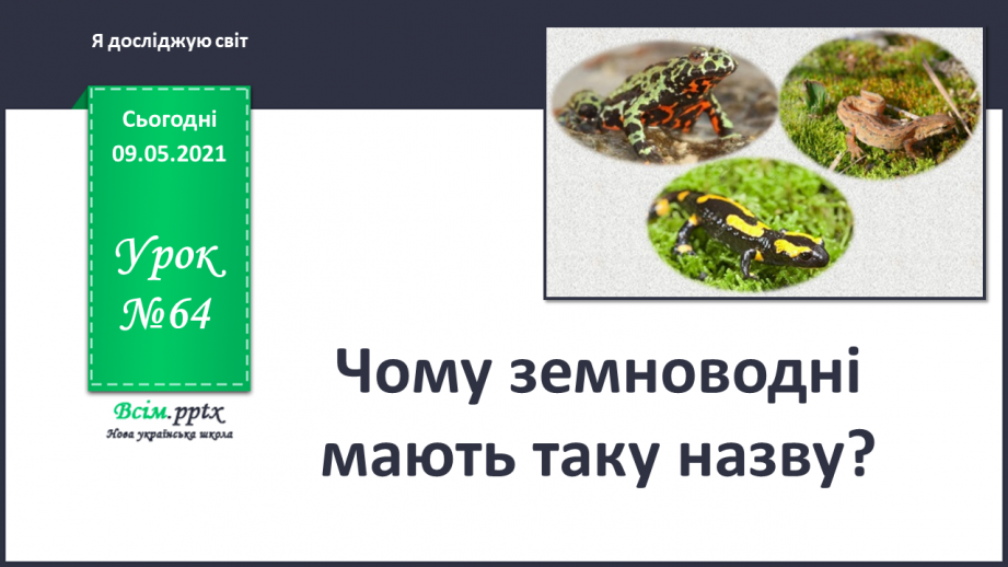 №064 - Чому земноводні мають таку назву?0 №064 - Чому земноводні мають таку назву?0