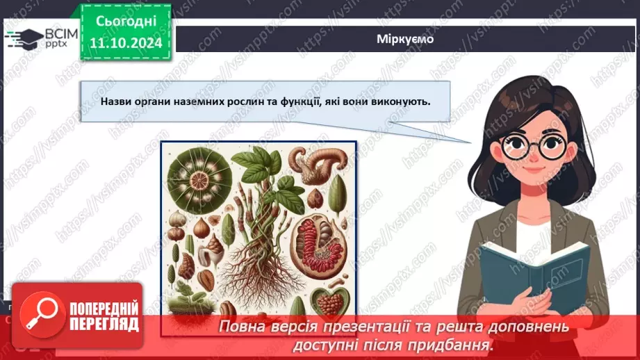 №23 - Тканини і органи рослин.22 №23 - Тканини і органи рослин.22