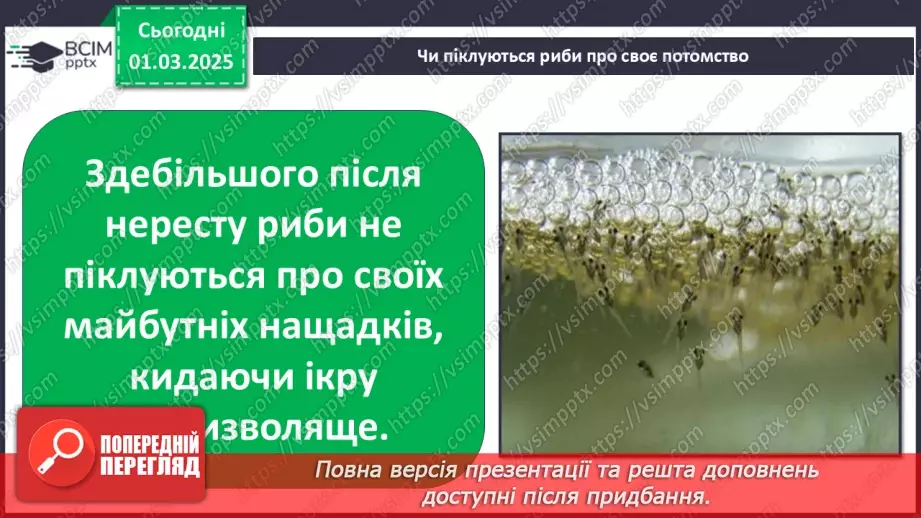 №0073 - Як змінюється життя у водоймах навесні13 №0073 - Як змінюється життя у водоймах навесні13