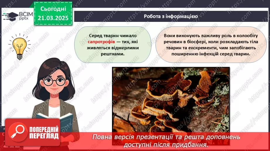 №71 - Роль тварин у біосфері.14