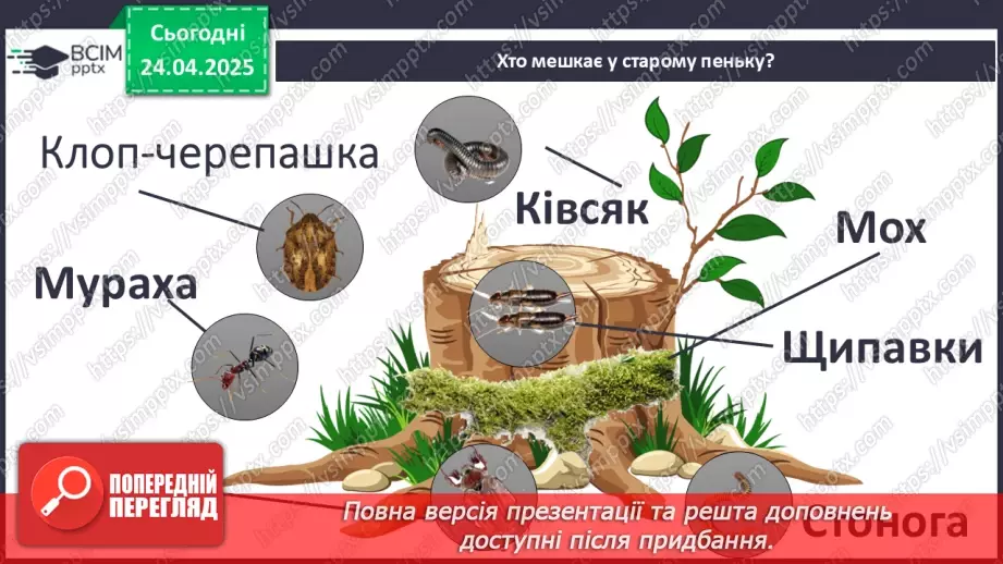 №0094 - Проект «Хто мешкає у старому пеньку?18 №0094 - Проект «Хто мешкає у старому пеньку?18