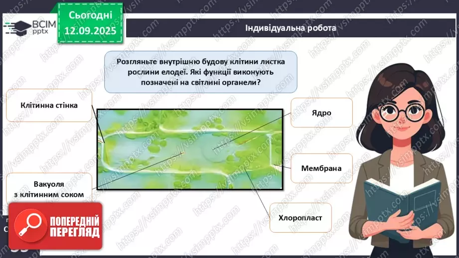 №011 - Особливості клітин рослин.17 №011 - Особливості клітин рослин.17
