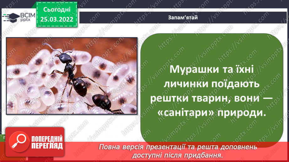 №079 - Які рослини і тварини «передбачають» погоду?8 №079 - Які рослини і тварини «передбачають» погоду?8