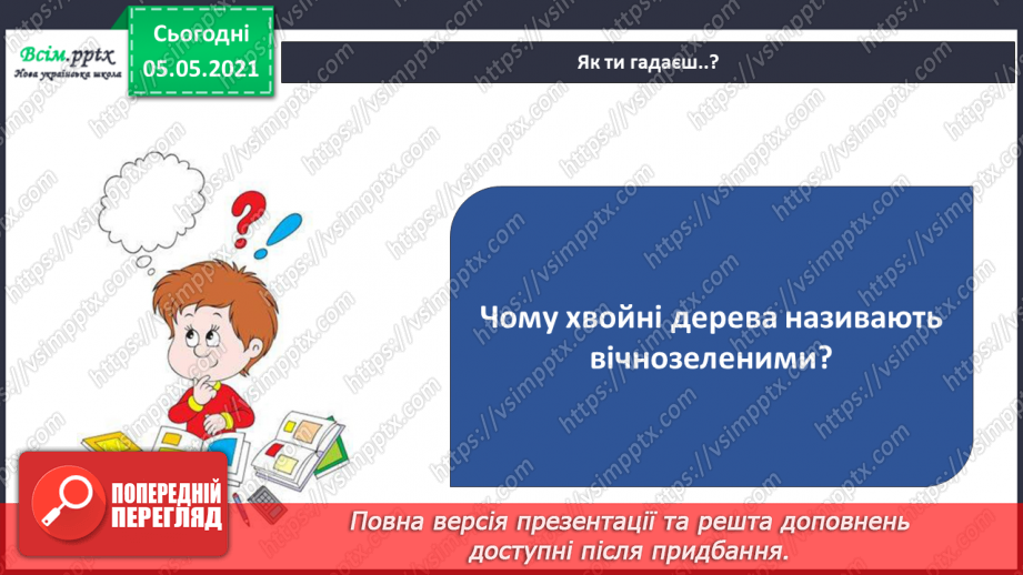 №035 - Хвойні рослини.13 №035 - Хвойні рослини.13