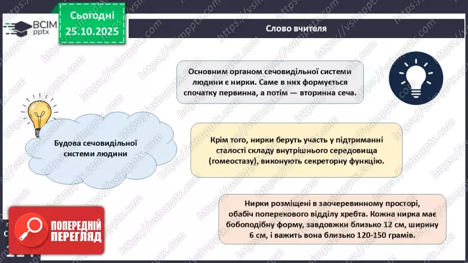 №029 - Будова й функції сечовидільної системи людини. Сечоутворення.4 №029 - Будова й функції сечовидільної системи людини. Сечоутворення.4