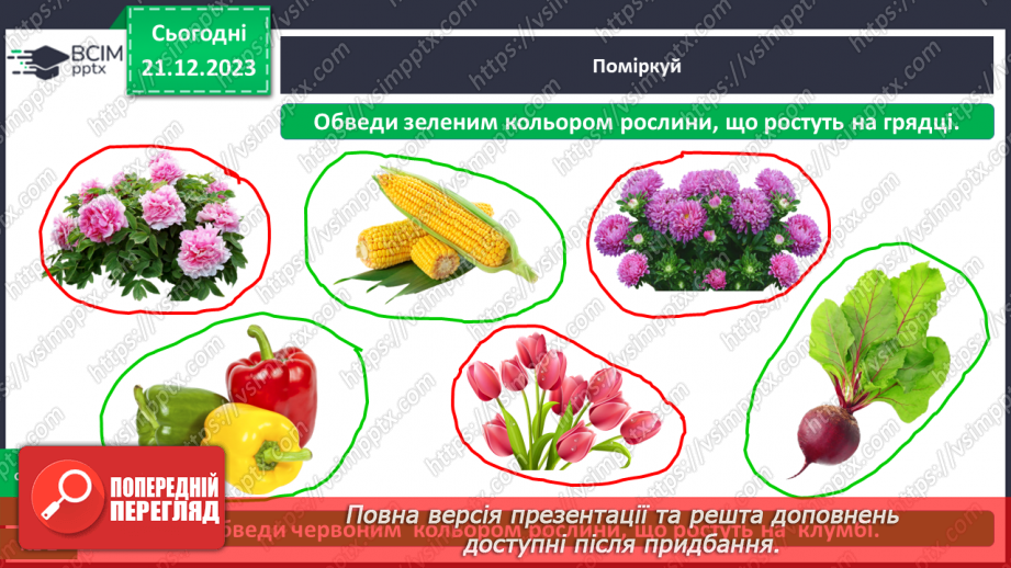 №049 - Чому рослини такі різні15 №049 - Чому рослини такі різні15