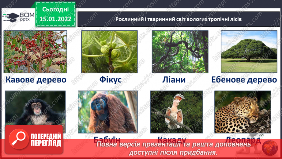 №057 - Які рослини і тварини мешкають в Африці13 №057 - Які рослини і тварини мешкають в Африці13