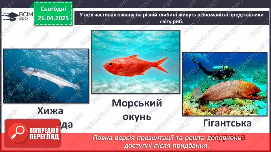 №63 - Чим знаменитий Тихий океан.21