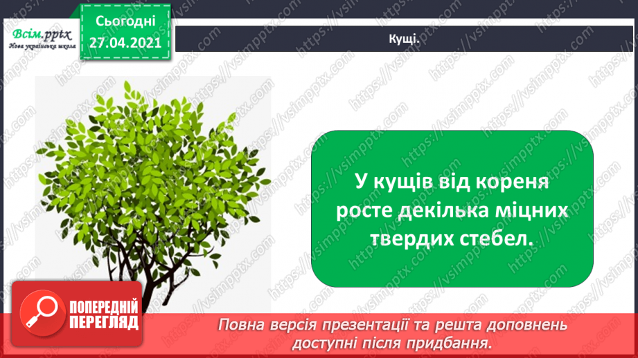 №011 - 012 - Якими бувають рослини? Як розрізняють рослини? Проводимо дослідження. Які умови потрібні рослинам для життя?15